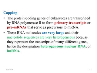 3B.Transcription.pptx