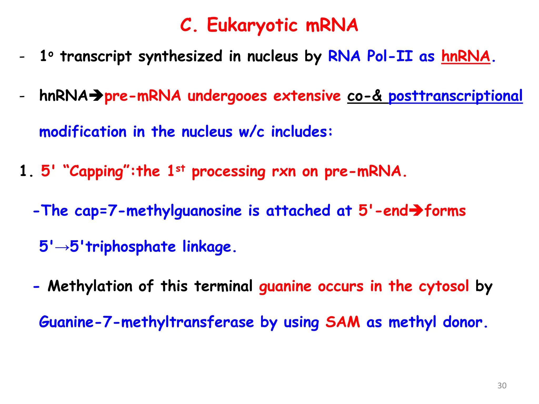 3B.Transcription.pptx