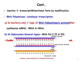 3B.Transcription.pptx