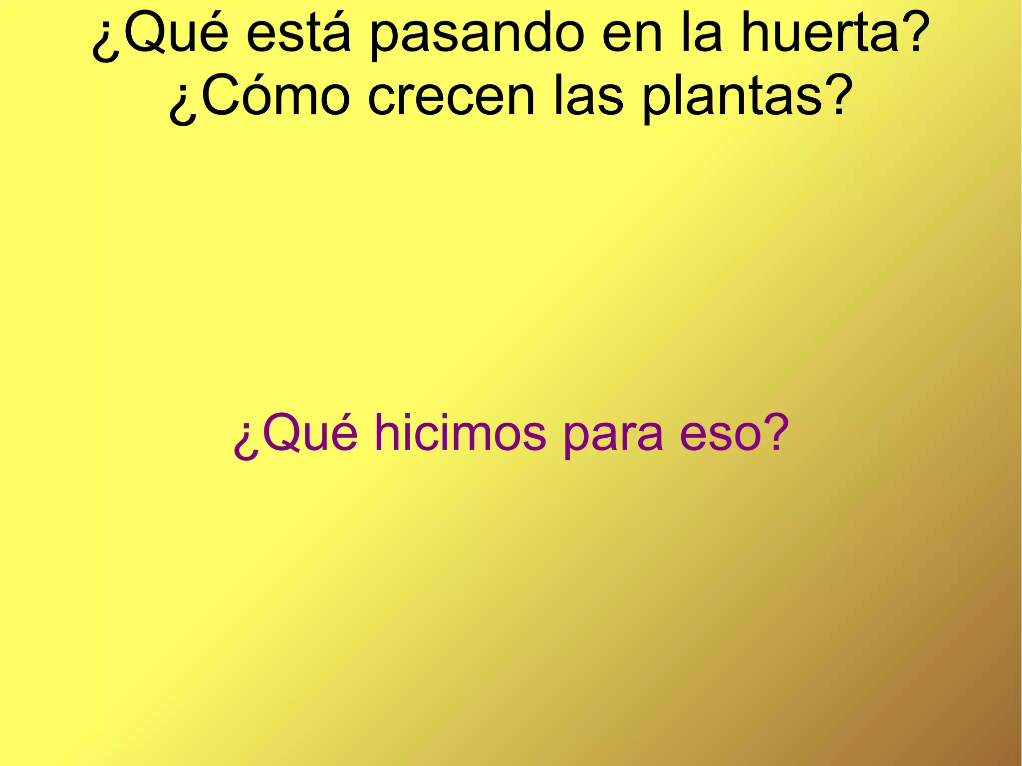 ¿Qué está pasando en la huerta?
¿Cómo crecen las plantas?
¿Qué hicimos para eso?