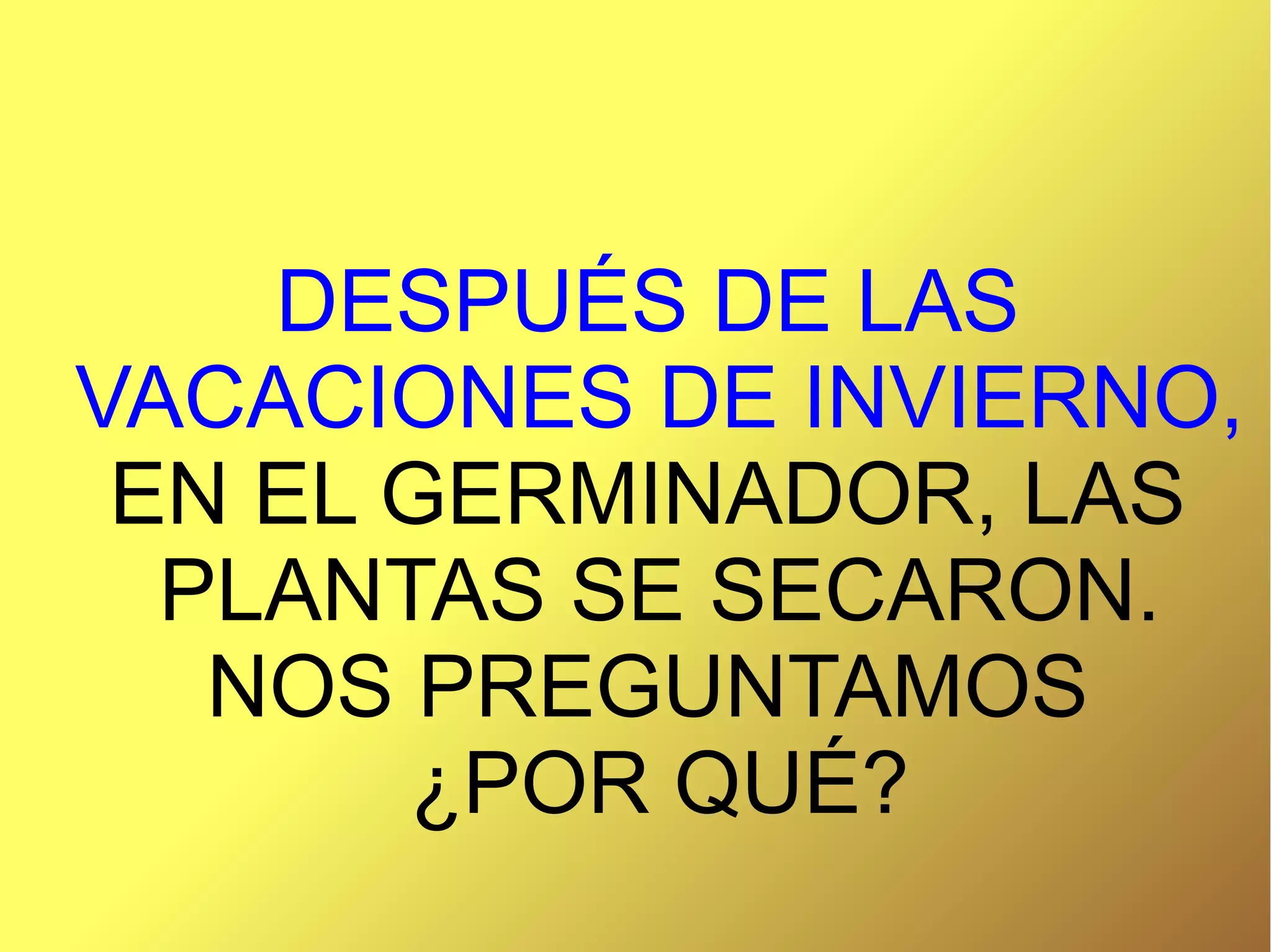DESPUÉS DE LAS
VACACIONES DE INVIERNO,
EN EL GERMINADOR, LAS
PLANTAS SE SECARON.
NOS PREGUNTAMOS
¿POR QUÉ?