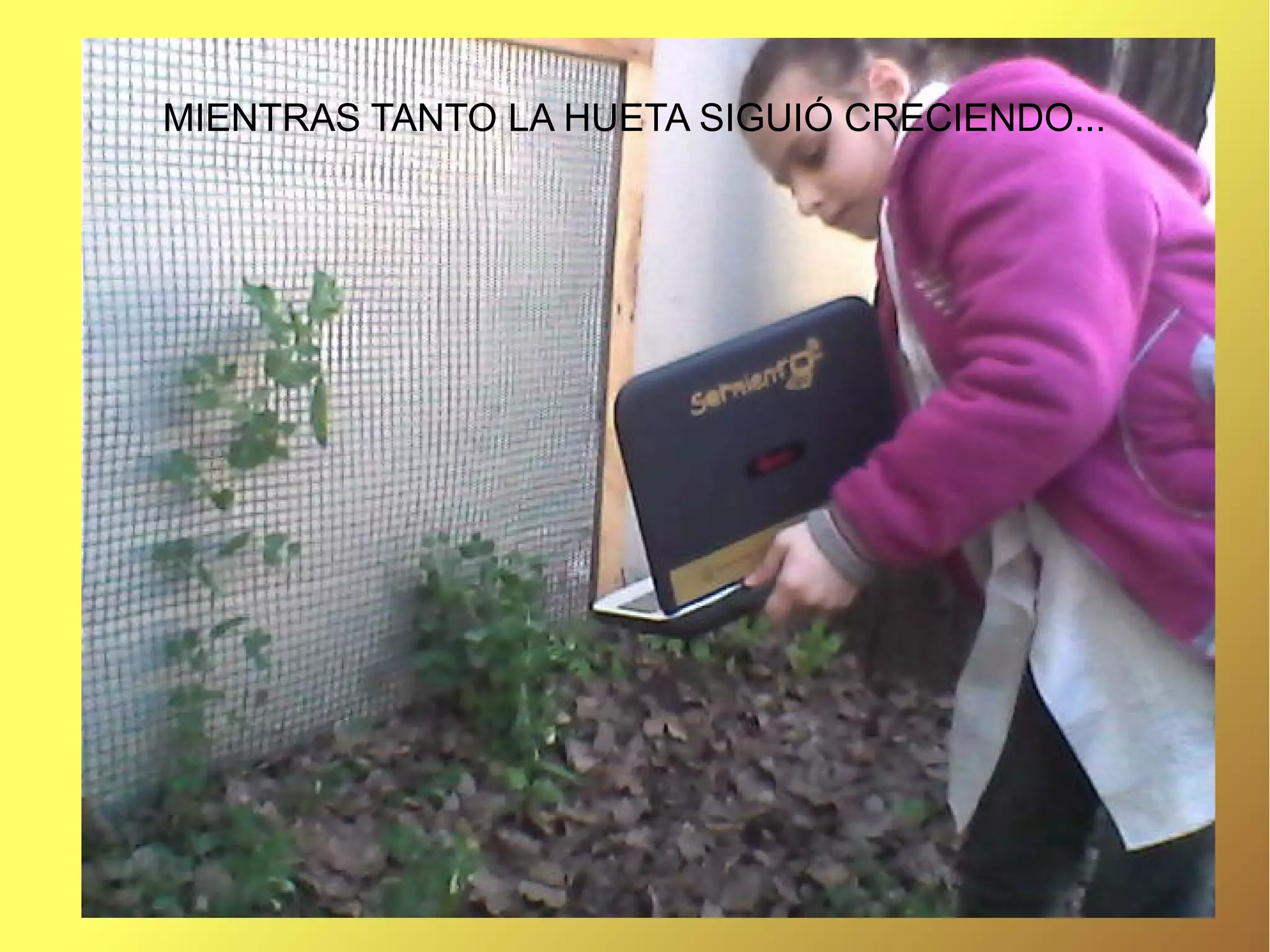 MIENTRAS TANTO LA HUETA SIGUIÓ CRECIENDO...