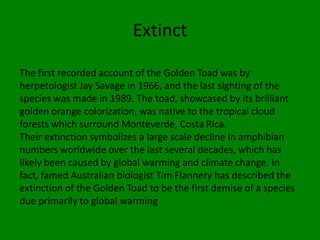 Extinct

The first recorded account of the Golden Toad was by
herpetologist Jay Savage in 1966, and the last sighting of the
species was made in 1989. The toad, showcased by its brilliant
golden orange colorization, was native to the tropical cloud
forests which surround Monteverde, Costa Rica.
Their extinction symbolizes a large scale decline in amphibian
numbers worldwide over the last several decades, which has
likely been caused by global warming and climate change. In
fact, famed Australian biologist Tim Flannery has described the
extinction of the Golden Toad to be the first demise of a species
due primarily to global warming
 
