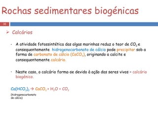 A atividade fotossintética das algas marinhas reduz o teor de CO 2  e consequentemente  hidrogenocarbonato de cálcio  pode  precipitar  sob a forma de  carbonato de cálcio (CaCO 3 ) , originando a calcite e consequentemente  calcário. Neste caso, o calcário forma-se devido à ação dos seres vivos –  calcário biogénico. Ca(HCO 3 ) 2      CaCO 3   + H 2 O + CO 2 (hidrogenocarbonato  de cálcio) Rochas sedimentares biogénicas Calcários 