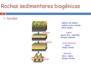 Rochas sedimentares biogénicas Carvões 