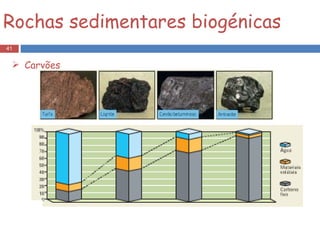 Rochas sedimentares biogénicas Carvões 
