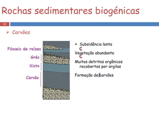 Rochas sedimentares biogénicas Carvões Subsidência lenta Vegetação abundante Muitos detritos orgânicos recobertos por argilas Formação de carvões 