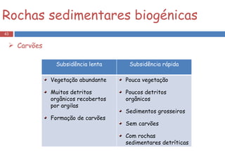 Rochas sedimentares biogénicas Carvões Subsidência lenta Subsidência rápida Vegetação abundante Muitos detritos orgânicos recobertos por argilas Formação de carvões Pouca vegetação Poucos detritos orgânicos  Sedimentos grosseiros Sem carvões Com rochas sedimentares detríticas 
