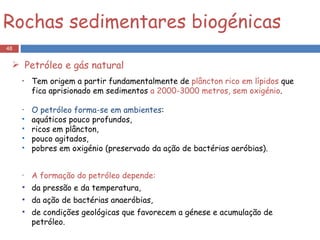 Tem origem a partir fundamentalmente de  plâncton rico em lípidos  que fica aprisionado em sedimentos  a 2000-3000 metros, sem oxigénio . O petróleo forma-se em ambientes : aquáticos pouco profundos, ricos em plâncton, pouco agitados, pobres em oxigénio (preservado da ação de bactérias aeróbias). A formação do petróleo depende: da pressão e da temperatura,  da ação de bactérias anaeróbias, de condições geológicas que favorecem a génese e acumulação de petróleo. Rochas sedimentares biogénicas Petróleo e gás natural 
