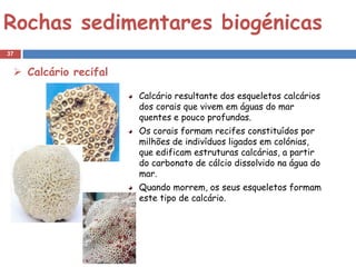 Rochas sedimentares biogénicas
37


  Calcário recifal

                      Calcário resultante dos esqueletos calcários
                      dos corais que vivem em águas do mar
                      quentes e pouco profundas.
                      Os corais formam recifes constituídos por
                      milhões de indivíduos ligados em colónias,
                      que edificam estruturas calcárias, a partir
                      do carbonato de cálcio dissolvido na água do
                      mar.
                      Quando morrem, os seus esqueletos formam
                      este tipo de calcário.
 