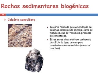 Rochas sedimentares biogénicas
38


  Calcário conquífero

                         Calcário formado pela acumulação de
                         conchas calcárias de animais, como os
                         moluscos, que sofreram um processo
                         de cimentação.
                         Estes seres vivos retiram carbonato
                         de cálcio da água do mar para
                         construírem os esqueletos (como as
                         conchas).
 