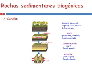 Rochas sedimentares biogénicas
41


  Carvões
 