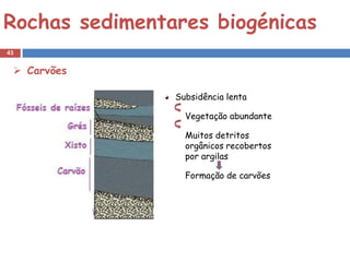 Rochas sedimentares biogénicas
43


  Carvões

                Subsidência lenta

                  Vegetação abundante

                  Muitos detritos
                  orgânicos recobertos
                  por argilas

                  Formação de carvões
 