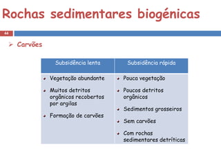 Rochas sedimentares biogénicas
44


  Carvões

              Subsidência lenta      Subsidência rápida

             Vegetação abundante    Pouca vegetação

             Muitos detritos        Poucos detritos
             orgânicos recobertos   orgânicos
             por argilas
                                    Sedimentos grosseiros
             Formação de carvões
                                    Sem carvões

                                    Com rochas
                                    sedimentares detríticas
 