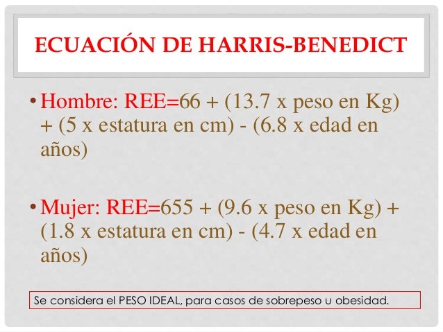 la dieta del metabolismo acelerado pdf consejos