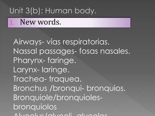 Unit 3(b): Human body.
1.

New words.

Airways- vías respiratorias.
Nassal passages- fosas nasales.
Pharynx- faringe.
Larynx- laringe.
Trachea- traquea.
Bronchus /bronqui- bronquios.
Bronquiole/bronquiolesbronquiolos

 