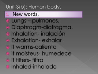 Unit 3(b): Human body.
1.









New words.
Lungs – pulmones.
Diaphragm-diafragma.
Inhalation- inalación
Exhalation- exhalar
It warms-calienta
It moisteus- humedece
It filters- filtra
Inhaled-inhalado

 