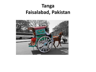 Tanga
Faisalabad, Pakistan
 