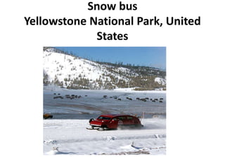 Snow bus
Yellowstone National Park, United
States
 