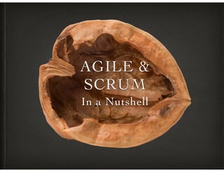 AGILE &
SCRUM
In a Nutshell
 