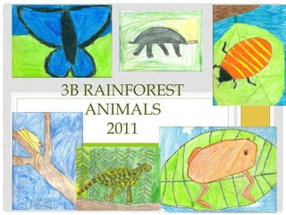 3B Rainforest Animals2011 