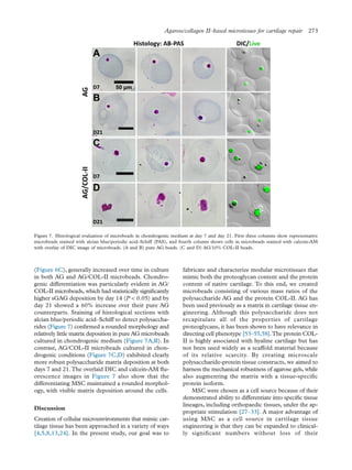(Figure 6C), generally increased over time in culture
in both AG and AG/COL-II microbeads. Chondro-
genic differentiation was particularly evident in AG/
COL-II microbeads, which had statistically signiﬁcantly
higher sGAG deposition by day 14 (P < 0.05) and by
day 21 showed a 60% increase over their pure AG
counterparts. Staining of histological sections with
alcian blue/periodic acid–Schiff to detect polysaccha-
rides (Figure 7) conﬁrmed a rounded morphology and
relatively little matrix deposition in pure AG microbeads
cultured in chondrogenic medium (Figure 7A,B). In
contrast, AG/COL-II microbeads cultured in chon-
drogenic conditions (Figure 7C,D) exhibited clearly
more robust polysaccharide matrix deposition at both
days 7 and 21.The overlaid DIC and calcein-AM ﬂu-
orescence images in Figure 7 also show that the
differentiating MSC maintained a rounded morphol-
ogy, with visible matrix deposition around the cells.
Discussion
Creation of cellular microenvironments that mimic car-
tilage tissue has been approached in a variety of ways
[4,5,8,13,24]. In the present study, our goal was to
fabricate and characterize modular microtissues that
mimic both the proteoglycan content and the protein
content of native cartilage. To this end, we created
microbeads consisting of various mass ratios of the
polysaccharide AG and the protein COL-II. AG has
been used previously as a matrix in cartilage tissue en-
gineering. Although this polysaccharide does not
recapitulate all of the properties of cartilage
proteoglycans, it has been shown to have relevance in
directing cell phenotype [53–55,58].The protein COL-
II is highly associated with hyaline cartilage but has
not been used widely as a scaffold material because
of its relative scarcity. By creating microscale
polysaccharide-protein tissue constructs, we aimed to
harness the mechanical robustness of agarose gels, while
also augmenting the matrix with a tissue-speciﬁc
protein isoform.
MSC were chosen as a cell source because of their
demonstrated ability to differentiate into speciﬁc tissue
lineages, including orthopaedic tissues, under the ap-
propriate stimulation [27–33]. A major advantage of
using MSC as a cell source in cartilage tissue
engineering is that they can be expanded to clinical-
ly signiﬁcant numbers without loss of their
Figure 7. Histological evaluation of microbeads in chondrogenic medium at day 7 and day 21. First three columns show representative
microbeads stained with alcian blue/periodic acid–Schiff (PAS), and fourth column shows cells in microbeads stained with calcein-AM
with overlay of DIC image of microbeads. (A and B) pure AG beads. (C and D) AG/10% COL-II beads.
Agarose/collagen II–based microtissues for cartilage repair 273
 