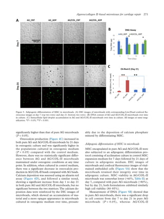 signiﬁcantly higher than that of pure AG microbeads
(P < 0.05).
Osteocalcin production (Figure 4C) increased in
both pure AG and AG/COL-II microbeads by 21 days
in osteogenic culture and was signiﬁcantly higher in
the populations cultured in osteogenic medium
(P < 0.05) compared with the control medium.
However, there was no statistically signiﬁcant differ-
ence between AG and AG/COL-II microbeads
maintained under osteogenic conditions at any time
point. In addition, when cultured in control medium,
there was a signiﬁcant decrease in osteocalcin pro-
duction in AG/COL-II beads compared with AG beads.
Calcium deposition was assessed using an alizarin red
assay (Figure 4D), and followed a similar trend,
showing a signiﬁcant increase from day 1 to day 21
in both pure AG and AG/COL-II microbeads, but no
signiﬁcant between the two matrices.The calcium de-
position data were reinforced by the DIC images of
microbeads, which showed an accumulation of ma-
terial and a more opaque appearance in microbeads
cultured in osteogenic medium over time, presum-
ably due to the deposition of calcium phosphate
mineral by differentiating MSC.
Adipogenic differentiation of MSC in microbeads
MSC encapsulated in pure AG and AG/COL-II were
also subjected to an adipogenic differentiation pro-
tocol consisting of acclimation culture in control MSC
expansion medium for 7 days followed by 21 days of
culture in adipogenic medium. DIC images of
microbeads and confocal ﬂuorescence images of vital-
stained embedded cells (Figure 5A) show that the
microbeads retained their integrity over time in
adipogenic culture. MSC viability in AG/COL-II
microbeads was somewhat lower (~60%, Table II) at
day 7, compared with pure AG microbeads (~80%),
but by day 21, both formulations exhibited similarly
high cell viability (80–85%).
Measurement of DNA (Figure 5B) showed that
in pure AG microbeads, there was a signiﬁcant drop
in cell content from day 7 to day 21 in pure AG
microbeads (P < 0.05), whereas AG/COL-II
Figure 5. Adipogenic differentiation of MSC in microbeads. (A) DIC images of microbeads with corresponding Live/Dead confocal ﬂu-
orescence images at day 7 (top two rows) and day 21 (bottom two rows). (B) DNA content of AG and AG/COL-II microbeads over time
in culture. (C) Intracellular lipid droplet accumulation in AG and AG/COL-II microbeads over time in culture. All images at same mag-
niﬁcation. *P < 0.05; **P < 0.001.
Agarose/collagen II–based microtissues for cartilage repair 271
 
