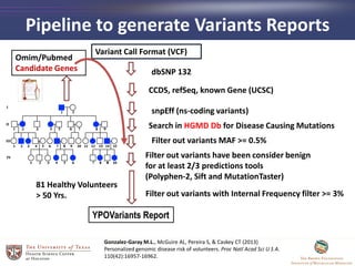 Pipeline to generate Variants Reports
YPOVariants Report
dbSNP 132
CCDS, refSeq, known Gene (UCSC)
snpEff (ns-coding variants)
Filter out variants with Internal Frequency filter >= 3%
Search in HGMD Db for Disease Causing Mutations
Filter out variants MAF >= 0.5%
Filter out variants have been consider benign
for at least 2/3 predictions tools
(Polyphen-2, Sift and MutationTaster)
Omim/Pubmed
Candidate Genes
Variant Call Format (VCF)
Gonzalez-Garay M.L., McGuire AL, Pereira S, & Caskey CT (2013)
Personalized genomic disease risk of volunteers. Proc Natl Acad Sci U S A.
110(42):16957-16962.
81 Healthy Volunteers
> 50 Yrs.
 