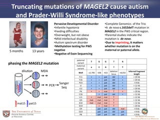 Truncating mutations of MAGEL2 cause autism
and Prader-Willi Syndrome-like phenotypes
5 months 13 years
Pervasive Developmental Disorder
•Infantile hypotonia
•Feeding difficulties
•Overweight, but not obese
•Mild intellectual disability
•Autism spectrum disorder
•Methylation testing for PWS
negative
•Negative of Exon Sequencing
•Complete Genomics of the Trio
•A de novo c.1652delT mutation in
MAGEL2 in the PWS critical region.
•Parental studies indicate the
mutation is de novo.
•Due to imprinting, it matters
whether mutation is on the
maternal or paternal allele.
paternal
variant
T G G ? A
maternal
variant
a C A ? T
Well -12,785 -506 -422
deletion
locus
+8,032
inferred fragment
length
F11 + + pat del + > 20 kb
F16 + + pat del + > 20 kb
P23 + + pat del + > 8 kb
I2 + + pat del + > 12 kb
J12 + + pat del + > 20 kb
P4 + + mat T + > 20 kb
C16 - + pat del + > 12 kb
L11 + mat mat T - > 12 kb
I24 mat mat mat T - > 12 kb
K10 mat mat mat T - > 12 kb
D19 - + mat T - > 20 kb
O4 - pat pat del mat > 8 kb
O23 - pat pat del pat > 8 kb
P8 - pat pat del pat > 8 kb
phasing the MAGEL2 mutation
 