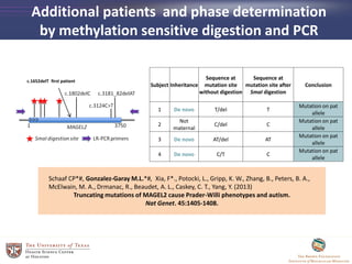 Additional patients and phase determination
by methylation sensitive digestion and PCR
Subject Inheritance
Sequence at
mutation site
without digestion
Sequence at
mutation site after
SmaI digestion
Conclusion
1 De novo T/del T
Mutation on pat
allele
2
Not
maternal
C/del C
Mutation on pat
allele
3 De novo AT/del AT
Mutation on pat
allele
4 De novo C/T C
Mutation on pat
allele
c.1652delT first patient
Schaaf CP*#, Gonzalez-Garay M.L.*#, Xia, F*., Potocki, L., Gripp, K. W., Zhang, B., Peters, B. A.,
McElwain, M. A., Drmanac, R., Beaudet, A. L., Caskey, C. T., Yang, Y. (2013)
Truncating mutations of MAGEL2 cause Prader-Willi phenotypes and autism.
Nat Genet. 45:1405-1408.
 