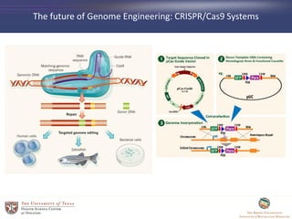 The future of Genome Engineering: CRISPR/Cas9 Systems
 