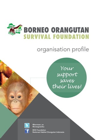 Borneo Orangutan
Survival Foundation
organisation profile
@bornean_ou
@orangutanku
BOS Foundation
Restorasi Habitat Orangutan Indonesia
Your
support
saves
their lives!
 