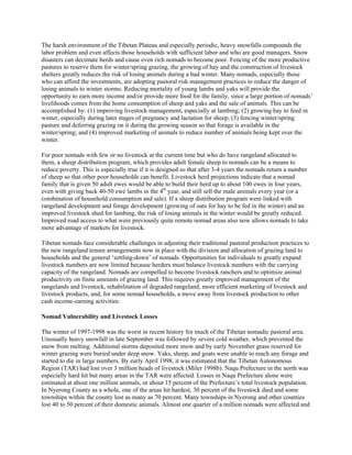 The harsh environment of the Tibetan Plateau and especially periodic, heavy snowfalls compounds the
labor problem and even affects those households with sufficient labor and who are good managers. Snow
disasters can decimate herds and cause even rich nomads to become poor. Fencing of the more productive
pastures to reserve them for winter/spring grazing, the growing of hay and the construction of livestock
shelters greatly reduces the risk of losing animals during a bad winter. Many nomads, especially those
who can afford the investments, are adopting pastoral risk management practices to reduce the danger of
losing animals to winter storms. Reducing mortality of young lambs and yaks will provide the
opportunity to earn more income and/or provide more food for the family, since a large portion of nomads’
livelihoods comes from the home consumption of sheep and yaks and the sale of animals. This can be
accomplished by: (1) improving livestock management, especially at lambing; (2) growing hay to feed in
winter, especially during later stages of pregnancy and lactation for sheep; (3) fencing winter/spring
pasture and deferring grazing on it during the growing season so that forage is available in the
winter/spring; and (4) improved marketing of animals to reduce number of animals being kept over the
winter.
For poor nomads with few or no livestock at the current time but who do have rangeland allocated to
them, a sheep distribution program, which provides adult female sheep to nomads can be a means to
reduce poverty. This is especially true if it is designed so that after 3-4 years the nomads return a number
of sheep so that other poor households can benefit. Livestock herd projections indicate that a nomad
family that is given 50 adult ewes would be able to build their herd up to about 100 ewes in four years,
even with giving back 40-50 ewe lambs in the 4th
year, and still sell the male animals every year (or a
combination of household consumption and sale). If a sheep distribution program were linked with
rangeland development and forage development (growing of oats for hay to be fed in the winter) and an
improved livestock shed for lambing, the risk of losing animals in the winter would be greatly reduced.
Improved road access to what were previously quite remote nomad areas also now allows nomads to take
more advantage of markets for livestock.
Tibetan nomads face considerable challenges in adjusting their traditional pastoral production practices to
the new rangeland tenure arrangements now in place with the division and allocation of grazing land to
households and the general ‘settling-down’ of nomads. Opportunities for individuals to greatly expand
livestock numbers are now limited because herders must balance livestock numbers with the carrying
capacity of the rangeland. Nomads are compelled to become livestock ranchers and to optimize animal
productivity on finite amounts of grazing land. This requires greatly improved management of the
rangelands and livestock, rehabilitation of degraded rangeland, more efficient marketing of livestock and
livestock products, and, for some nomad households, a move away from livestock production to other
cash income-earning activities.
Nomad Vulnerability and Livestock Losses
The winter of 1997-1998 was the worst in recent history for much of the Tibetan nomadic pastoral area.
Unusually heavy snowfall in late September was followed by severe cold weather, which prevented the
snow from melting. Additional storms deposited more snow and by early November grass reserved for
winter grazing were buried under deep snow. Yaks, sheep, and goats were unable to reach any forage and
started to die in large numbers. By early April 1998, it was estimated that the Tibetan Autonomous
Region (TAR) had lost over 3 million heads of livestock (Miler 1998b). Naqu Prefecture in the north was
especially hard hit but many areas in the TAR were affected. Losses in Naqu Prefecture alone were
estimated at about one million animals, or about 15 percent of the Prefecture’s total livestock population.
In Nyerong County as a whole, one of the areas hit hardest, 30 percent of the livestock died and some
townships within the county lost as many as 70 percent. Many townships in Nyerong and other counties
lost 40 to 50 percent of their domestic animals. Almost one quarter of a million nomads were affected and
 