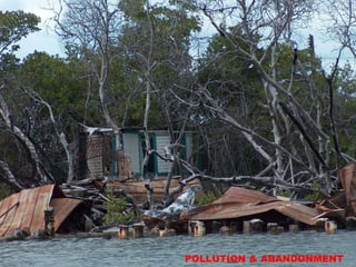 POLLUTION & ABANDONMENT
 