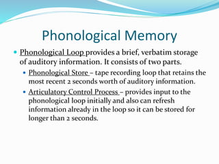 Phonological Memory
 Phonological Loop provides a brief, verbatim storage
of auditory information. It consists of two parts.
 Phonological Store – tape recording loop that retains the
most recent 2 seconds worth of auditory information.
 Articulatory Control Process – provides input to the
phonological loop initially and also can refresh
information already in the loop so it can be stored for
longer than 2 seconds.
 
