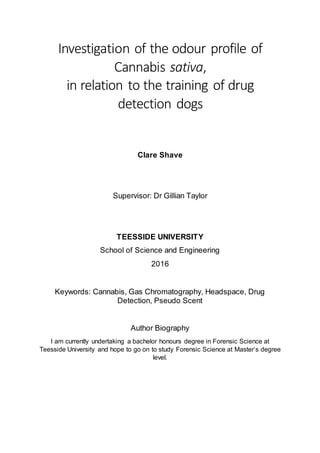 Investigation of the odour profile of
Cannabis sativa,
in relation to the training of drug
detection dogs
Clare Shave
Supervisor: Dr Gillian Taylor
TEESSIDE UNIVERSITY
School of Science and Engineering
2016
Keywords: Cannabis, Gas Chromatography, Headspace, Drug
Detection, Pseudo Scent
Author Biography
I am currently undertaking a bachelor honours degree in Forensic Science at
Teesside University and hope to go on to study Forensic Science at Master’s degree
level.
 