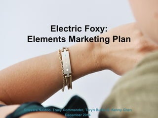 Electric Foxy:
Elements Marketing Plan
Chevara Naidoo, Tracy Commander, Taryn Burks & Kenny Chen
December 2014
 
