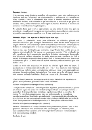 Prova da Urease:
A presença de urease detecta-se quando o microrganismo cresce num meio com ureia
(meio de ureia de Christensen) que contém também o indicador de pH, vermelho de
fenol. Quando a ureia é desdobrada pela urease, a amónia acumula-se no meio
tornando-o alcalino. Este aumento de pH faz com que o indicador de pH passe de
amarelo a rosa, sendo uma reacção positiva para a presença de urease. A ausência da
coloração rosa indica uma reacção negativa.
No entanto, basta que ocorra o aparecimento de uma zona do meio rosa para se
considerar a reacção positiva; apenas os microrganismos que produzem precocemente
urease têm capacidade para modificar a cor de todo o meio para rosa forte.
Prova de Kligler Iron Agar ou de Triple Sugar Iron Agar
Esta prova é, geralmente, usada para diferenciar os diferentes géneros das
Enterobacteriaceae e para distinguir esta família de outros bacilos Gram negativo de
origem intestinal. Esta diferenciação é feita atendendo às diferenças na fermentação dos
hidratos de carbono presentes no meio e à produção de sulfureto de hidrogénio (H2S).
Tanto o meio agar TSI (triple sugar iron) como o agar Kligler Iron contêm glicose em
pequena concentração (0,1%), lactose em concentração superior (1%), o indicador de
pH, vermelho de fenol, para detectar a produção de ácidos resultantes da fermentação
dos hidratos de carbono, tiossulfato de sódio, substrato para a produção de H2S, e
sulfato de ferro para a detecção desse produto final. A diferença entre estes dois meios
diferenciais é que o TSI possui mais um açúcar, a sacarose, em concentração igual à da
lactose (1%).
Ambos os meios são inoculados por picada, no cilindro e por estria, na rampa. É
essencial que as culturas sejam observadas após 18 a 24 h de incubação para evitar que
os hidratos de carbono sejam completamente utilizados e que ocorra degradação das
peptonas, formando produtos finais alcalinos. É na rampa que se faz a leitura da lactose
e da sacarose, no fundo do cilindro a da glicose e no meio do cilindro a de H2S.
Após incubação podem ser determinadas as actividades fermentativas, a produção de
gás e a produção de H2S, podendo ocorrer vários resultados:
Cilindro ácido (amarelo) e rampa alcalina (vermelha):
Só a glicose foi fermentada. Os microrganismos degradam, preferencialmente, a glicose
em primeiro lugar, mas como este substrato está presente em concentração mínima, a
quantidade de ácido produzida é limitada e é rapidamente oxidada na superfície da
rampa. Por outro lado, as peptonas do meio são também usadas na produção de
substâncias alcalinas. No cilindro, a reacção ácida é mantida devido à tensão reduzida
do oxigénio e ao crescimento mais lento dos microrganismos. O indicador, vermelho de
fenol, muda para amarelo devido à persistência da formação de ácido no cilindro.
Cilindro ácido (amarelo) e rampa ácida (amarela):
Ocorreu a fermentação da lactose e/ou da sacarose, para além da glicose. Como as duas
primeiras substâncias estão presentes em altas concentrações são substratos para a
actividade fermentativa contínua com manutenção da reacção ácida (cor amarela) em
todo o meio (rampa e cilindro).
Produção de gás:
 