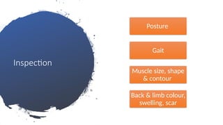 Inspection
Posture
Gait
Muscle size, shape
& contour
Back & limb colour,
swelling, scar
 