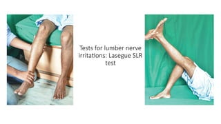 Tests for lumber nerve
irritations: Lasegue SLR
test
 