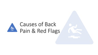 Causes of Back
Pain & Red Flags
 