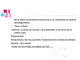    Se le llama crecimiento exponencial y se representa en gráfica
    semilogarítmica
   Tiene 4 fases:
Latencia. Cuando se inocula. Va a depender si se toma de un
   cultivo viejo
Exponencial.
Estacionaria. No hay aumento ni descenso en número de células
Muerte. Lisis celular
TODO ES EN POBLACIONES DE CÉLULAS
 