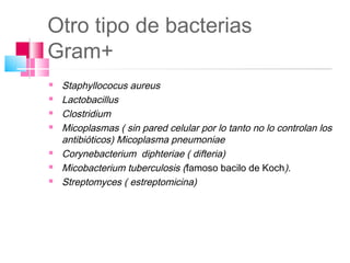 Otro tipo de bacterias
Gram+
   Staphyllococus aureus
   Lactobacillus
   Clostridium
   Micoplasmas ( sin pared celular por lo tanto no lo controlan los
    antibióticos) Micoplasma pneumoniae
   Corynebacterium diphteriae ( difteria)
   Micobacterium tuberculosis (famoso bacilo de Koch).
   Streptomyces ( estreptomicina)
 