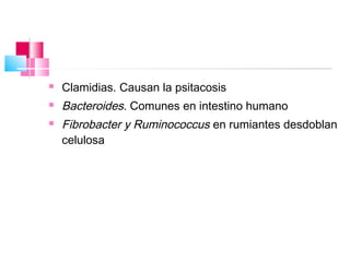    Clamidias. Causan la psitacosis
   Bacteroides. Comunes en intestino humano
   Fibrobacter y Ruminococcus en rumiantes desdoblan
    celulosa
 