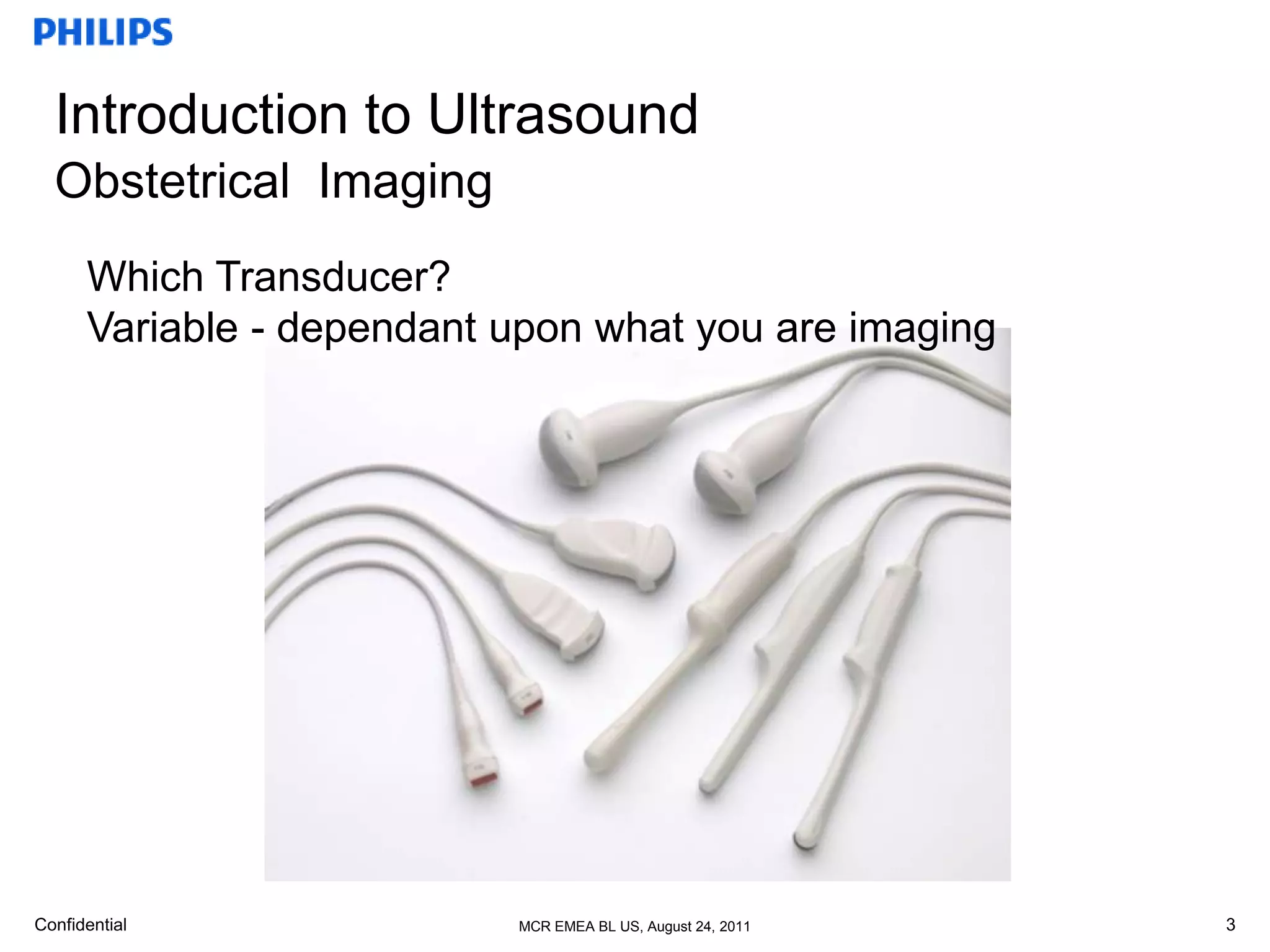 basic anatomy ob & gyn | PPT | Free Download