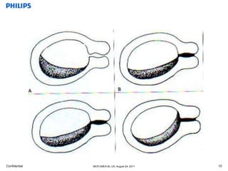 basic anatomy ob & gyn | PPTX