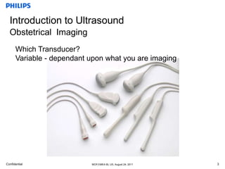 basic anatomy ob & gyn | PPTX