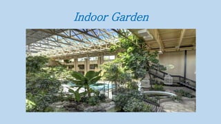 Indoor Garden
 