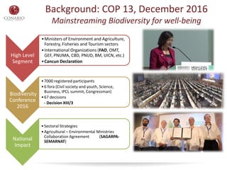 High Level
Segment
•Ministers of Environment and Agriculture,
Forestry, Fisheries and Tourism sectors
•International Organ...