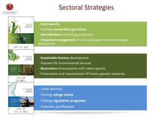 Sectoral Strategies
- Food security
- Promote sustainable agriculture
- Diversification of farming production
- Integrated...
